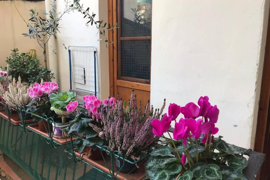 Deluxe Apartment In The Centre Of Φλωρεντία Εξωτερικό φωτογραφία